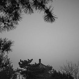 新一批国产游戏版号下发 Switch版《波西亚时光》过审